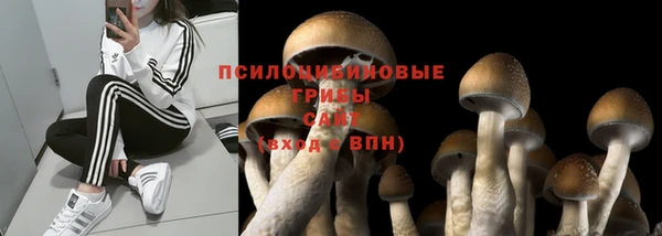 спайс Алексин