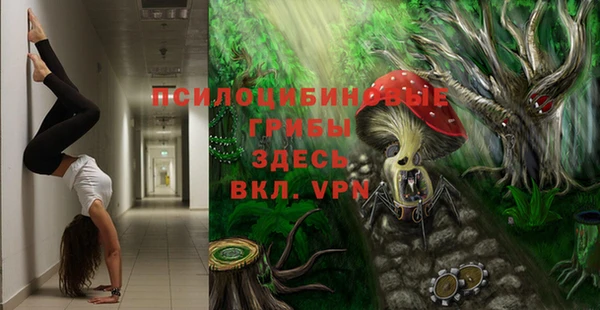 тгк Алзамай