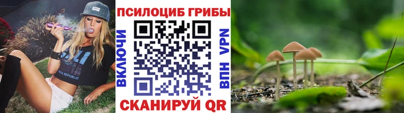 Псилоцибиновые грибы Cubensis  Петропавловск-Камчатский 