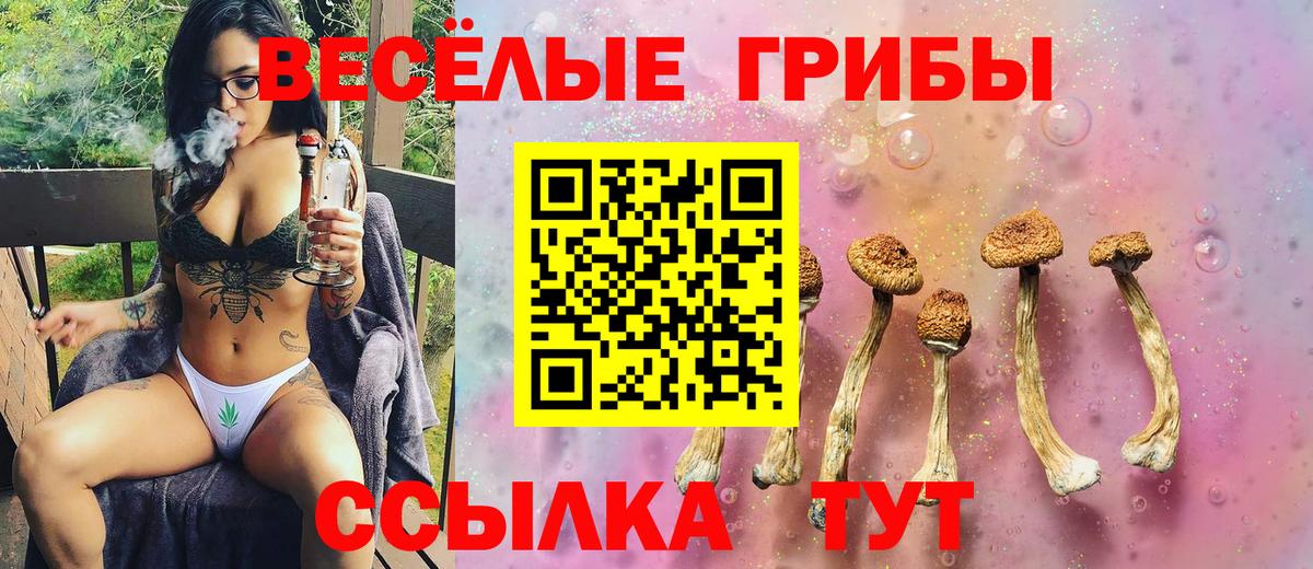 Псилоцибиновые грибы прущие грибы  Псилоцибиновые грибы MAGIC MUSHROOMS  Петропавловск-Камчатский  Вход с VPN 